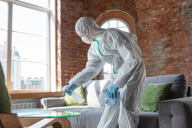 Mold Remediation for Vacation Homes in Iowa Colony, TX