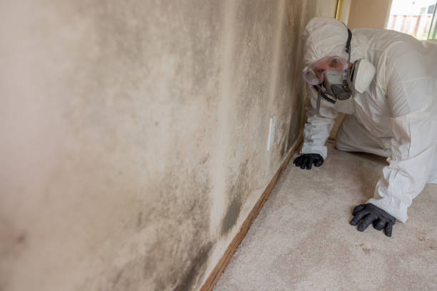 Mold Documentation for Insurance Claims in Iowa Colony, TX